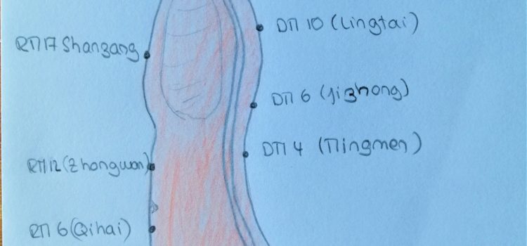 La petite circulation ou petit cycle céleste La petite circulation ou petit cycle céleste