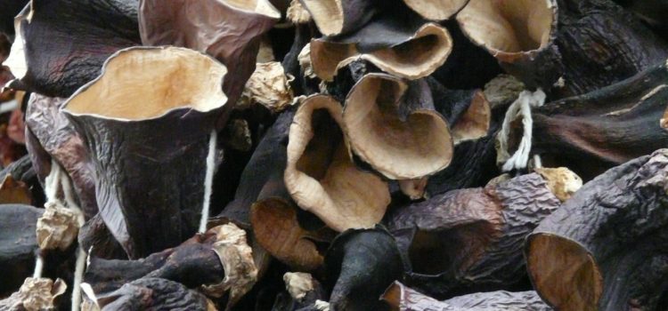 Le Champignon Noir Chinois, Hei Mu Er, 黑木耳. (oreille de Juda) Le Champignon Noir Chinois, Hei Mu Er, 黑木耳. (oreille de Juda)