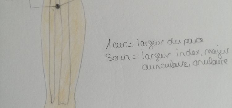 Point Estomac 36 足三里, Zusanli, trois  miles du pied