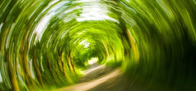 Le mal des transports et la médecine chinoise