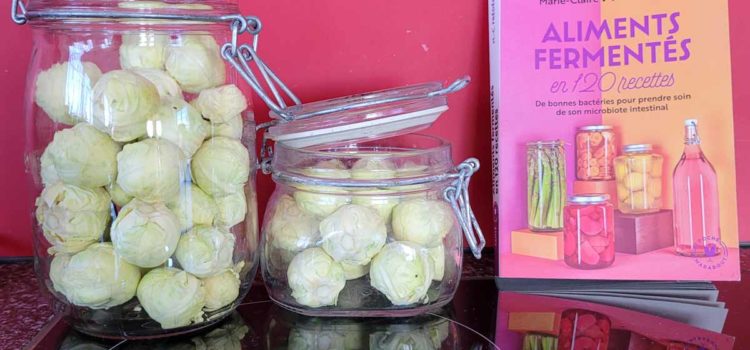 Photo livre Aliments fermentés de Marie-Claire Frédéric